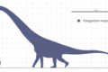 Patagotitan Mayorum